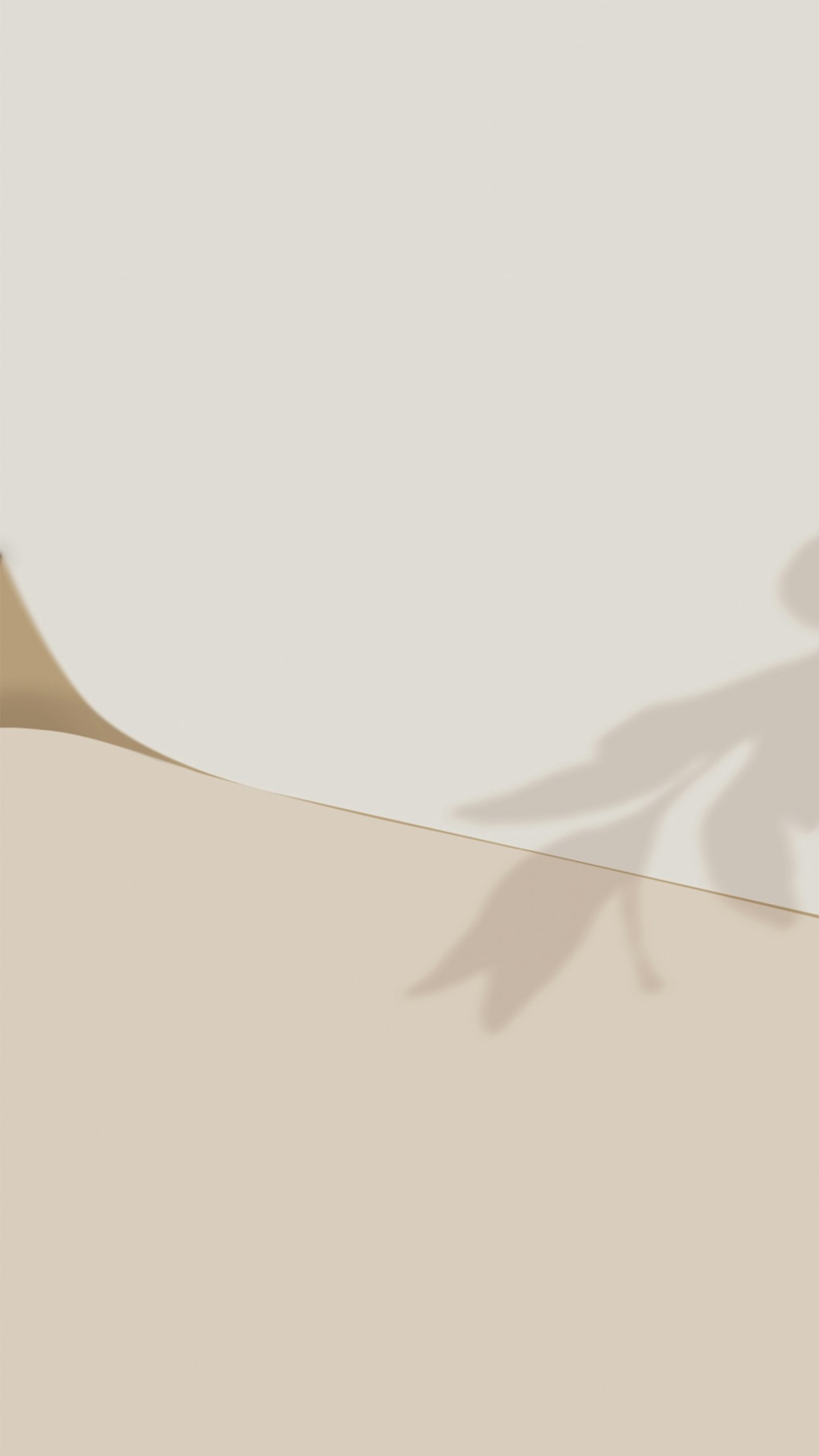 Soft leaf shadow falling across layered cream and sand coloured paper